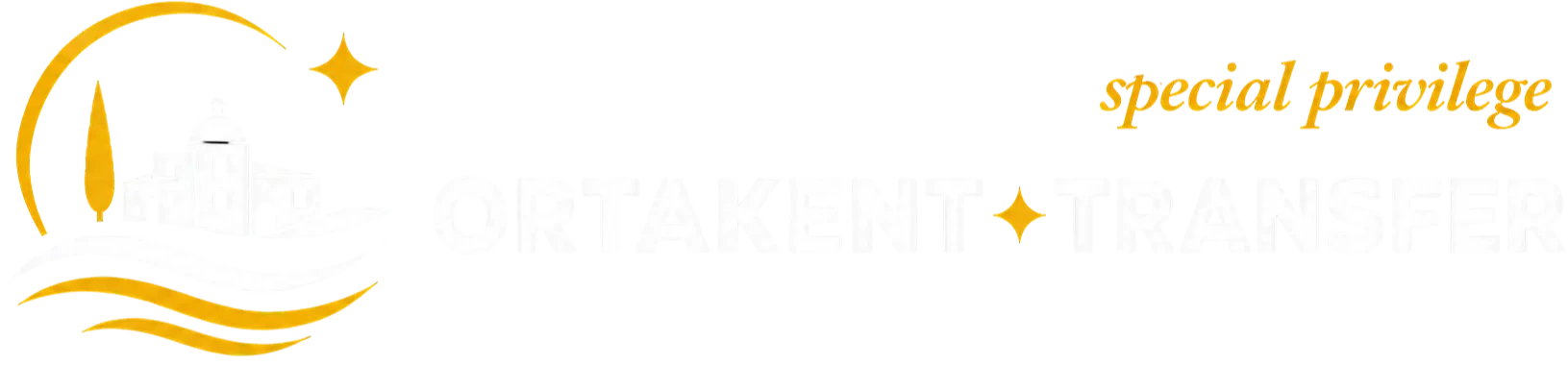 Footer Logo